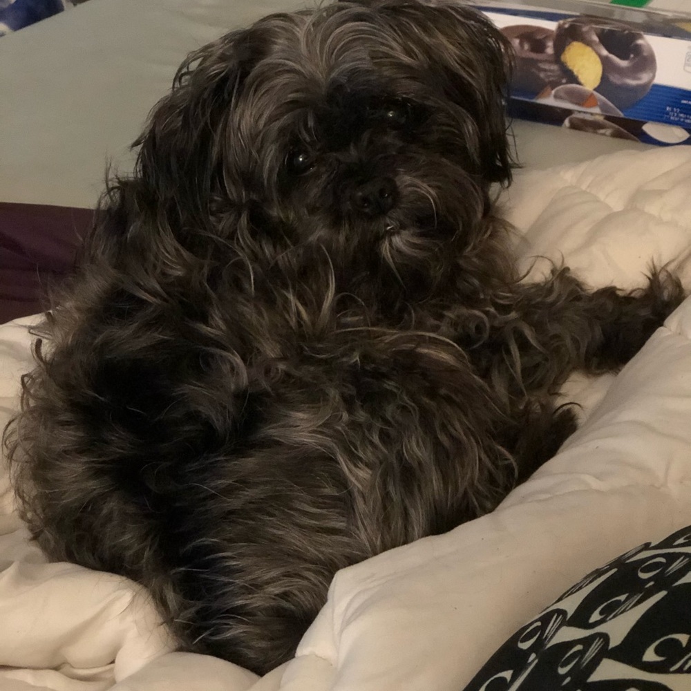 Meet your Posher, Whitney